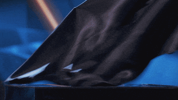 Fox GIF by The Masked Singer