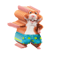 Happy Summer Sticker by Albert Heijn Dokkum