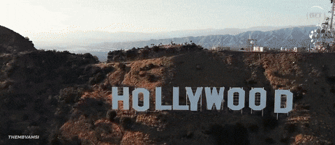 Globetrotter Priyankachopra GIF