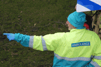 Stop-Motion Pointing GIF by aap