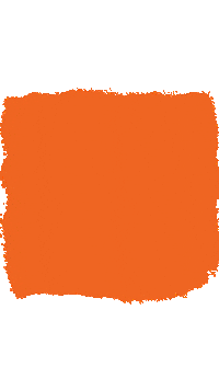 Anne Bonny Cocktail Sticker by Maison Villevert