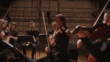 Musicians Violin GIF by McGill University