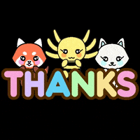 Red Panda Thank You GIF by Odd Friendz