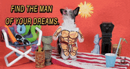 Best Friends Love GIF by Best Friends Animal Society