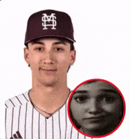 Mississippi State Msu GIF