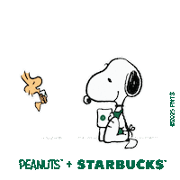 Sbux Sv Sticker by Starbucks El Salvador