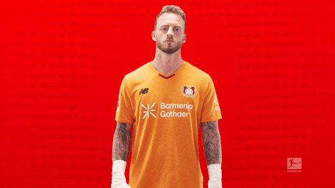 Bayer Leverkusen No GIF by Bundesliga
