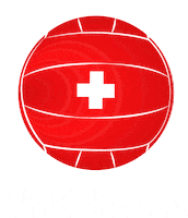 Water Polo Switzerland Sticker by Wasserballklub Thun