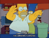 Season 2 Episode 22 GIF by The Simpsons