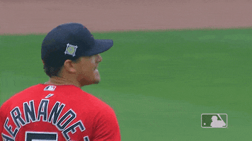 Major League Baseball Sport GIF by MLB