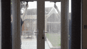 MyWindowCleanerFranchise thumbs up traditional mwc mwcf GIF