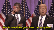 donald trump lol GIF
