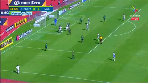Santos Pumas GIF by nss sports