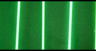 Softball Marco GIF by Marshall University Athletics