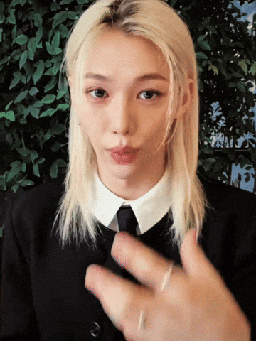 Stray Kids Skz GIF