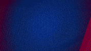 Germany Football GIF by Holstein Kiel