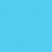 Shop Small Black Friday GIF by Jessica Lau