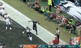philadelphia eagles football GIF by NFL