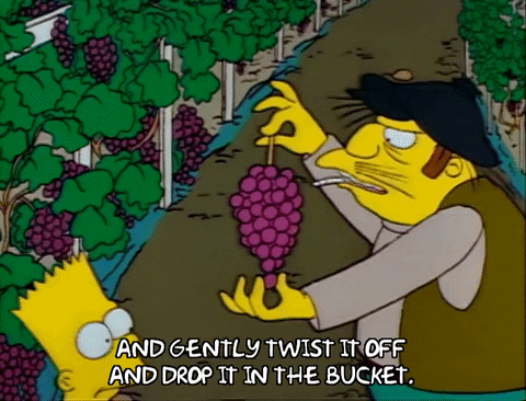 Season 1 GIF by The Simpsons