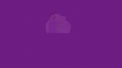 Cip GIF by Choose.CA