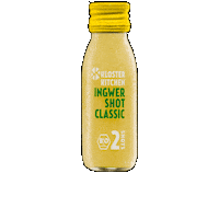 Ginger Gingershot Sticker by klosterkitchen