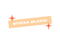 sticnamladih sm sticna stična mladih sm21 Sticker