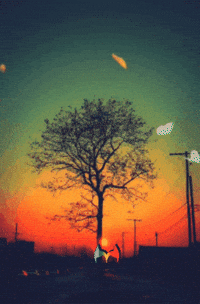 Amigos Ser Feliz GIF by Murcianys LLC