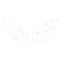 Illustration Life Sticker