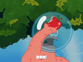 season 5 episode 10 GIF by SpongeBob SquarePants