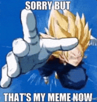 My Meme GIF