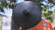 abcindigenous abc indigenous bluewaterempire blue water empire GIF