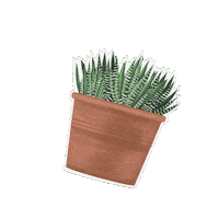 Houseplant Sticker by Hortusamsterdam