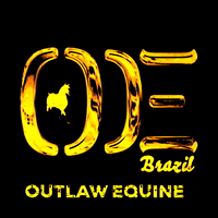 OUTLAWEQUINEVET equine oe laco cavalos GIF