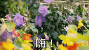 here i am hello GIF