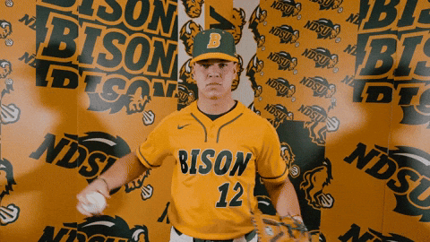 Baseball Bison GIF by NDSU Athletics