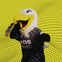Soccer Listen GIF by Washington Spirit