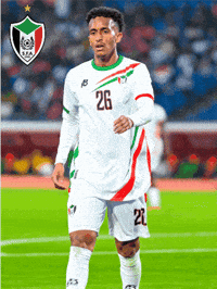 Memo Sudan GIF