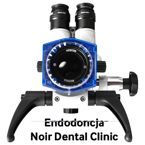 NoirDentalClinic giphygifmaker dentistry noir dental clinic endodoncja GIF