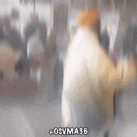 Morocco Algeria GIF