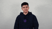 League Of Legends Lol GIF by G2 Esports