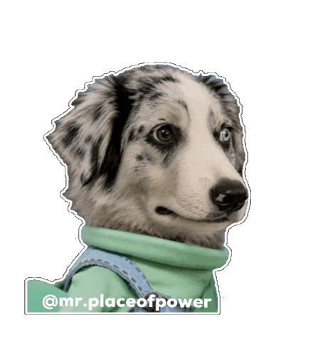 Dog Sticker