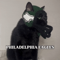 Philadelphia Eagles Football GIF by Respective