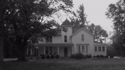 GIF by kualumni