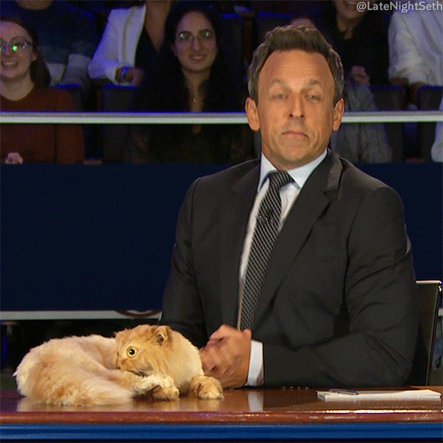 Seth Meyers Lol GIF by Late Night with Seth Meyers