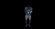 Jamaal Williams Football GIF by Detroit Lions