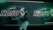 Ndsu Baseball GIF by NDSU Athletics