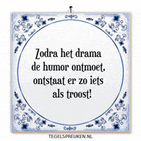Drama Humor GIF by Tegelspreuken.nl