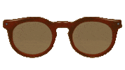 sunglasses brand Sticker by MISO PUP