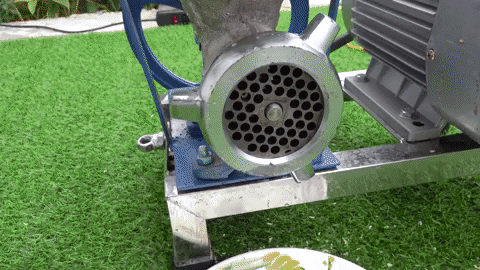 ExperimenMeatGrinder giphyupload funny colorful meat GIF