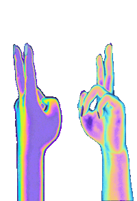 dinaaaaaah peace hands sign dinah Sticker